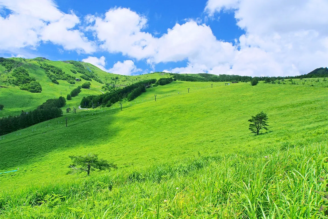 霧ヶ峰